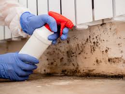 Best Mold Odor Removal Services  in Quincy, IL